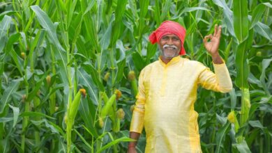 PM Kisan 22nd Installment: 24 फरवरी या होली का तोहफा? करोड़ों किसानों के इंतजार के बीच आया ये बड़ा अपडेट, इन गलतियों पर कटेगा पैसा