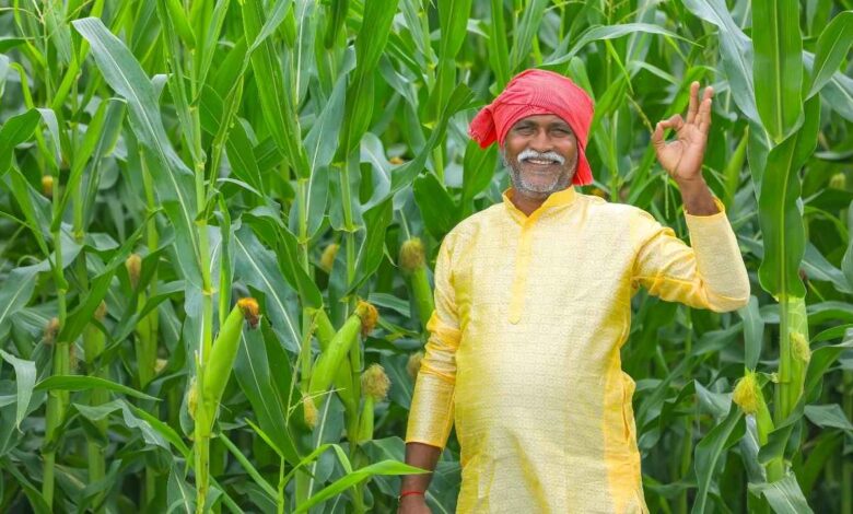 PM Kisan 22nd Installment: 24 फरवरी या होली का तोहफा? करोड़ों किसानों के इंतजार के बीच आया ये बड़ा अपडेट, इन गलतियों पर कटेगा पैसा