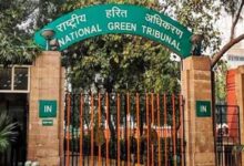 Yamunanagar Stone Crusher: क्या बंद होंगे 217 स्टोन क्रशर? NGT की पहली सुनवाई में ही मचा हड़कंप, अब 4 हफ्ते का अल्टीमेटम!